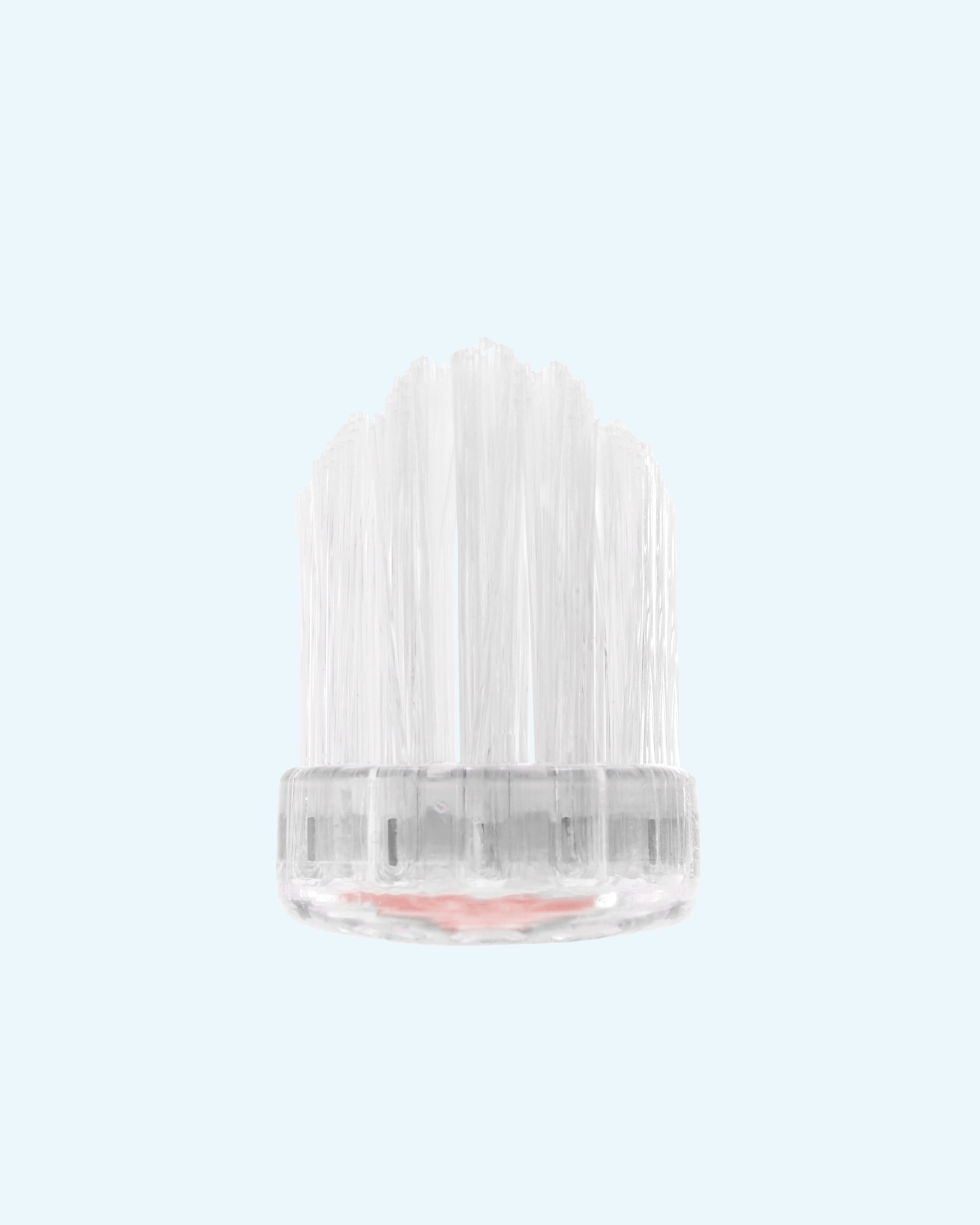 crystal collection toothbrushes