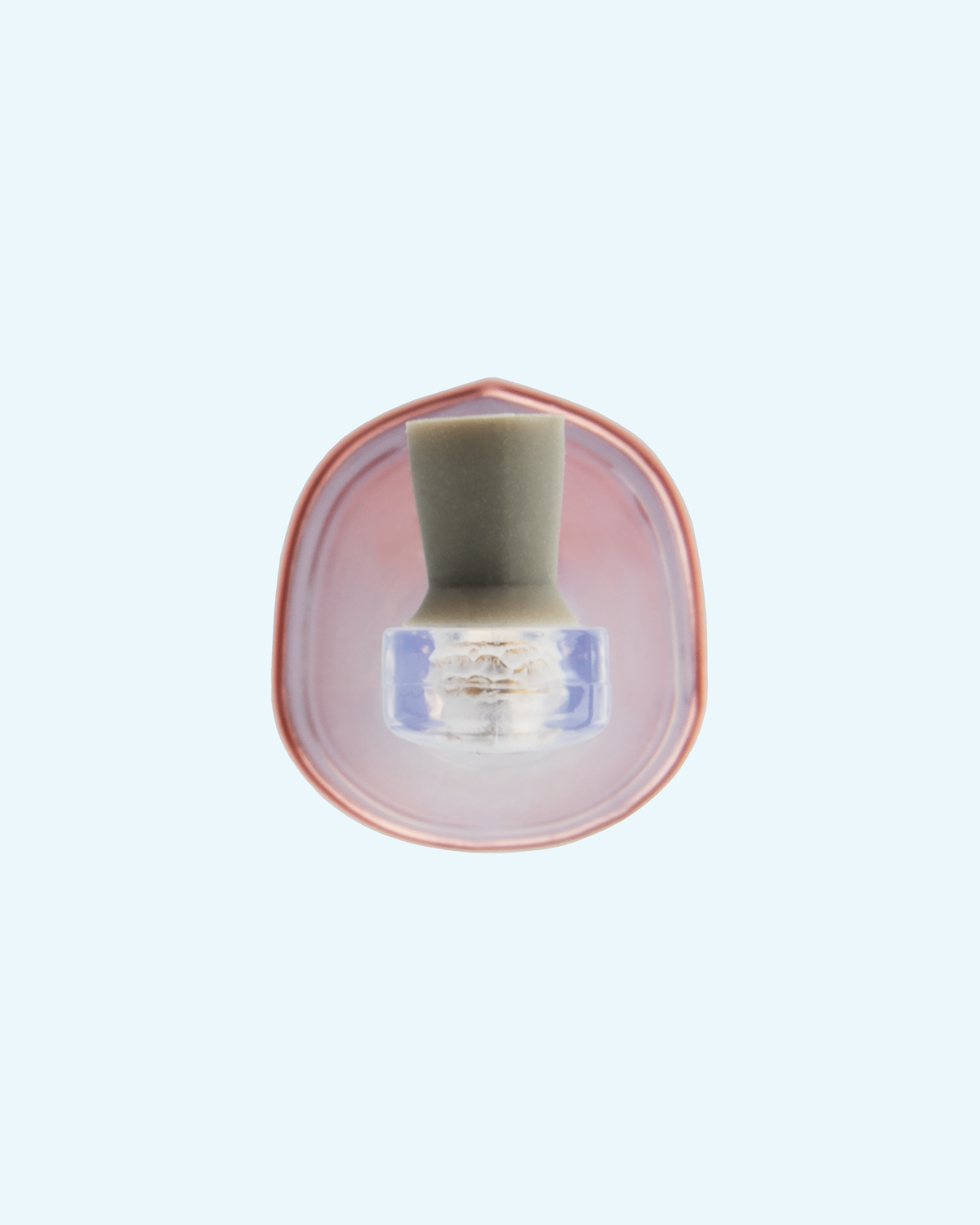 zina45™ polishing head
